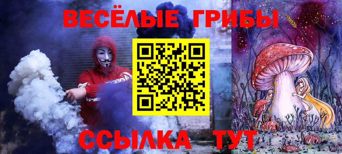 Псилоцибиновые грибы прущие грибы Дербент